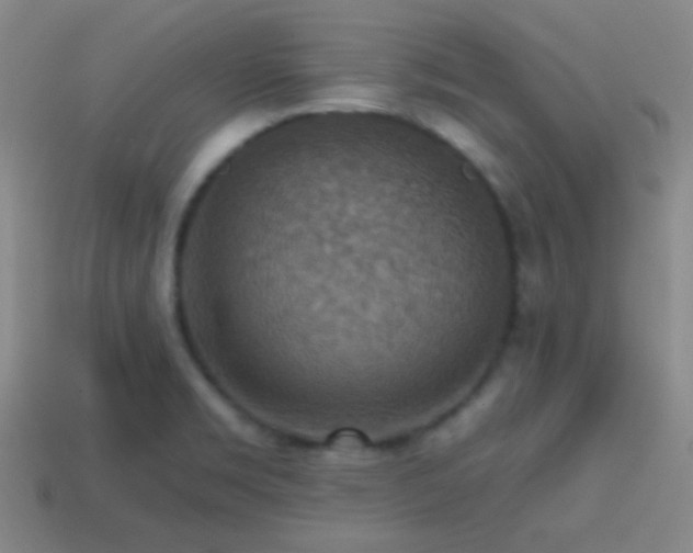 X0000114421469200910161217