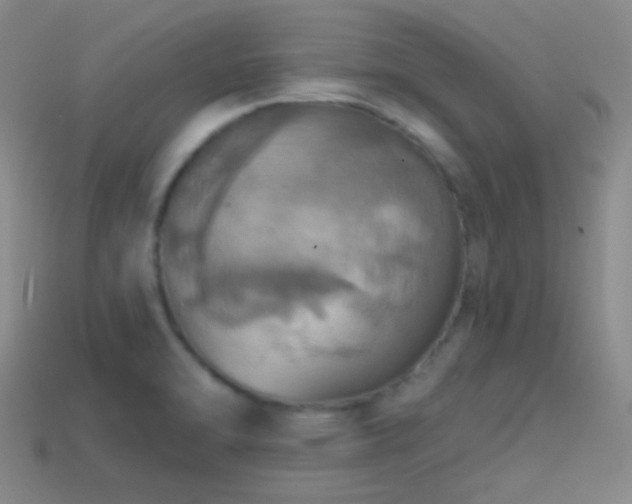 X0000114421470200910161217