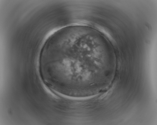 X0000114421471200910161217