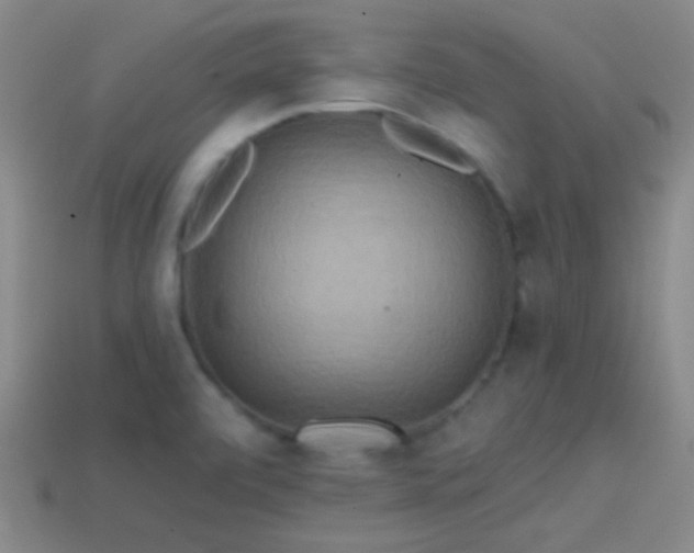 X0000114421472200910161217