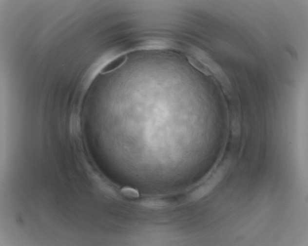 X0000114421473200910161217