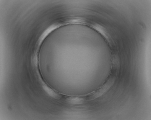 X0000114421474200910161217