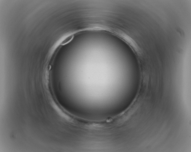 X0000114421476200910161217