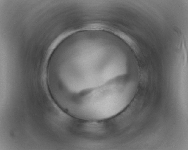 X0000114421478200910161217