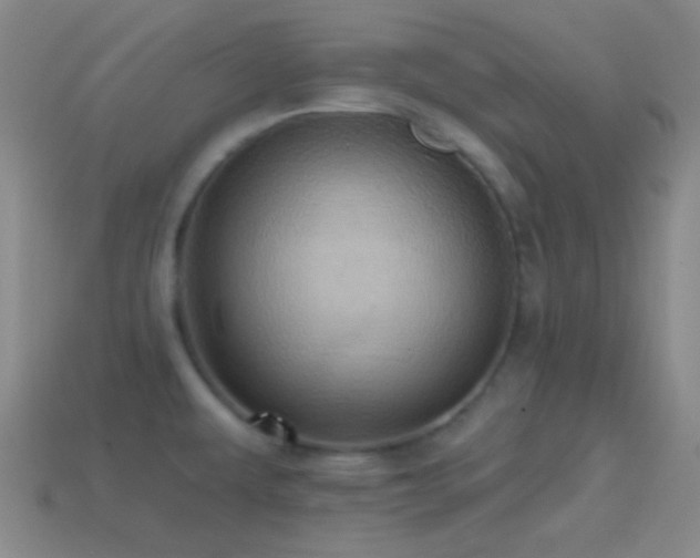 X0000114421479200910161217