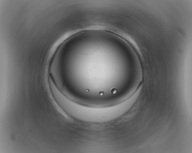 X0000114421480200910161217
