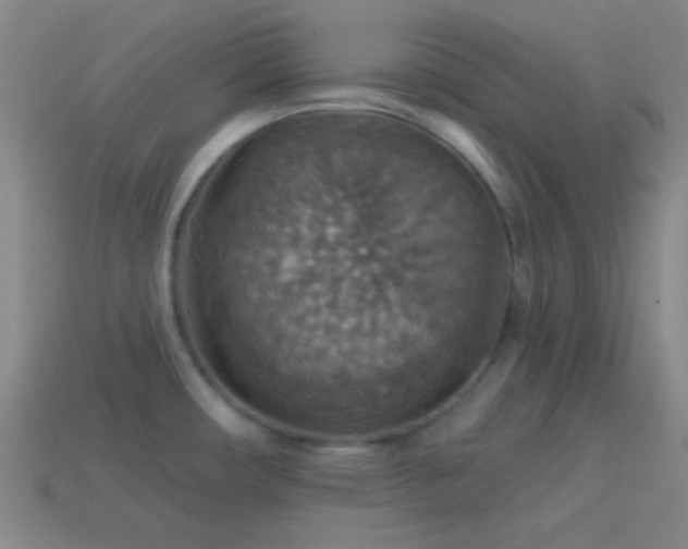 X0000114421482200910161217