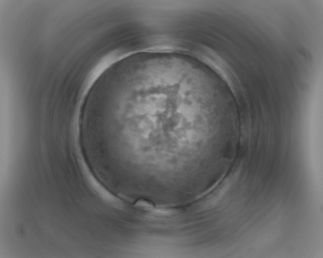 X0000114421483200910161217