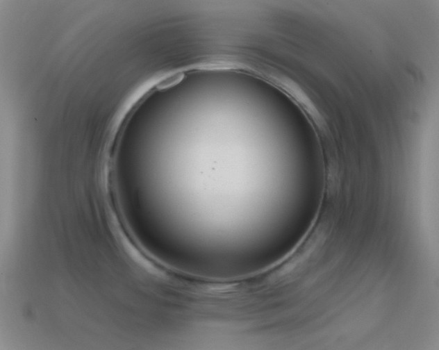 X0000114421484200910161217