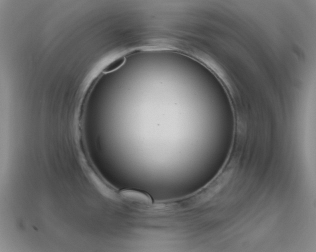 X0000114421485200910161217