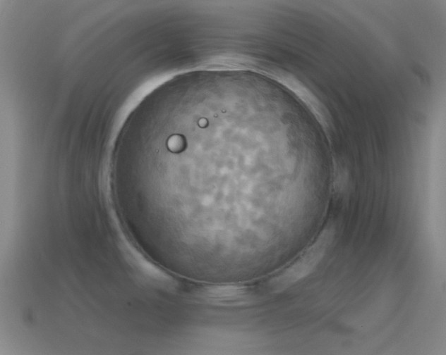 X0000114421486200910161217