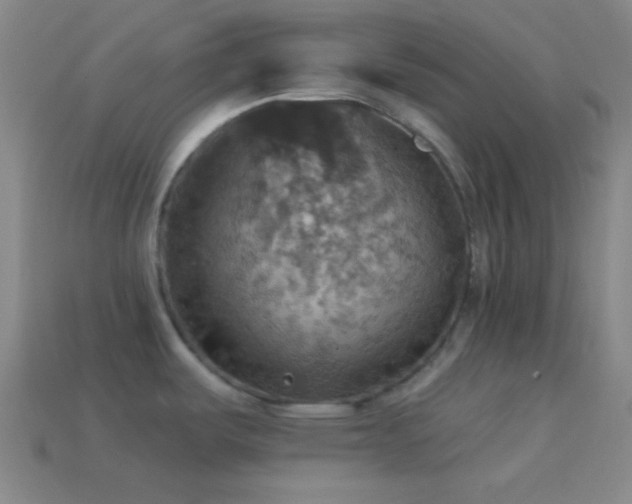 X0000114421487200910161217