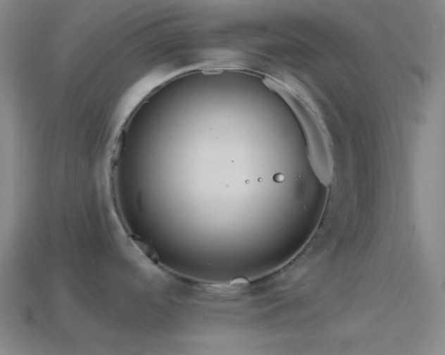 X0000114421488200910161217
