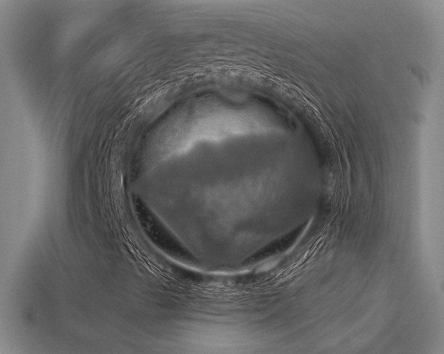 X0000114421489200910161216