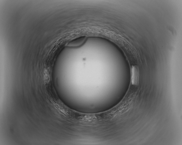 X0000114421491200910161216