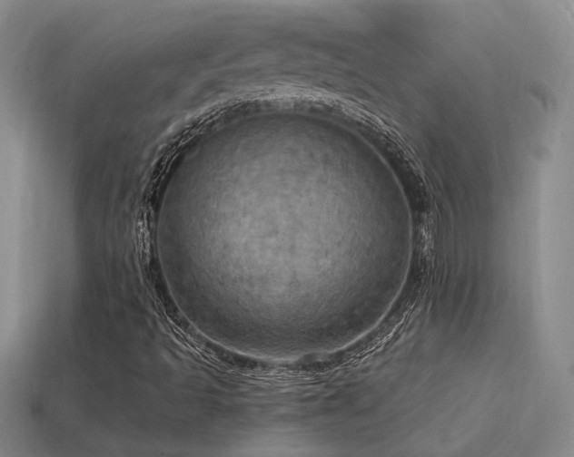 X0000114421493200910161216