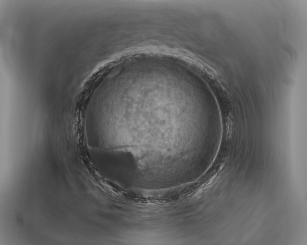 X0000114421494200910161216