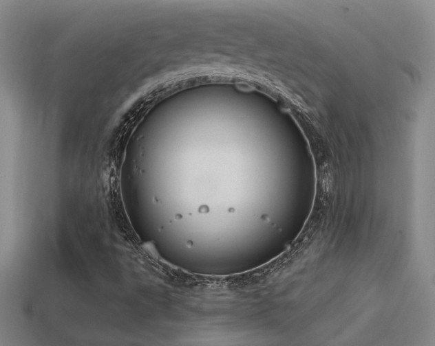 X0000114421495200910161216