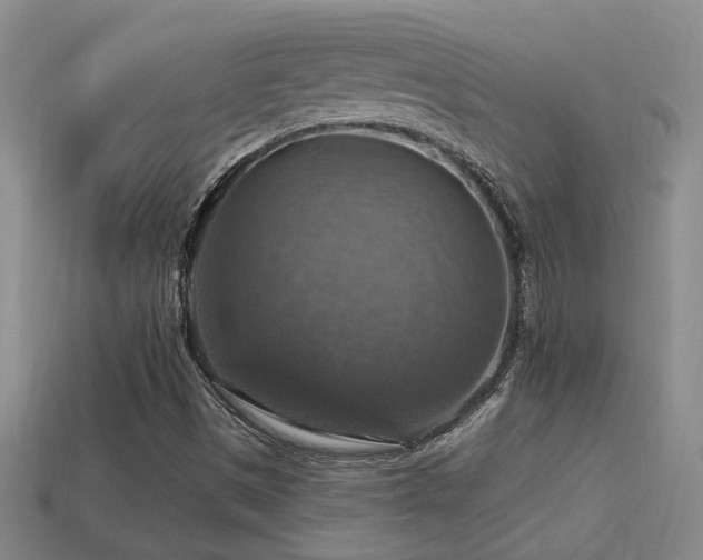 X0000114421497200910161216