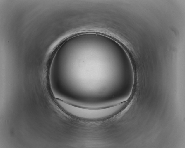 X0000114421502200910161217