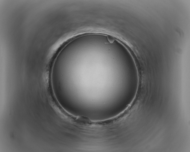 X0000114421503200910161217