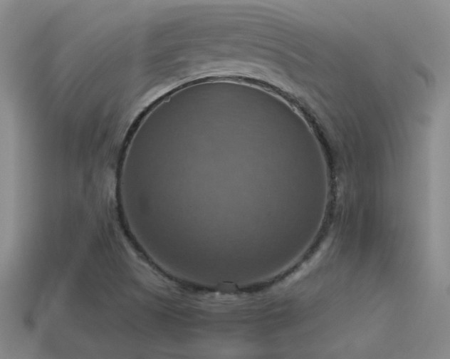 X0000114421505200910161217