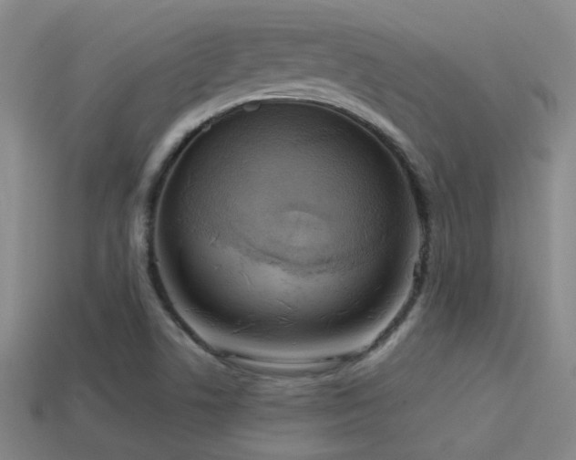 X0000114421506200910161217