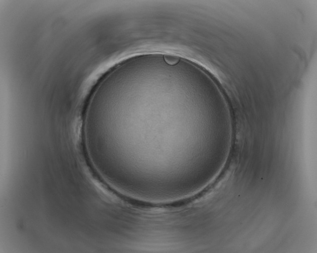 X0000114421507200910161217