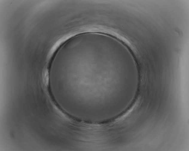 X0000114421509200910161217