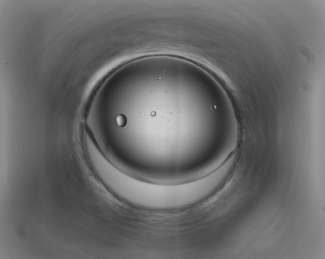 X0000114421510200910161217