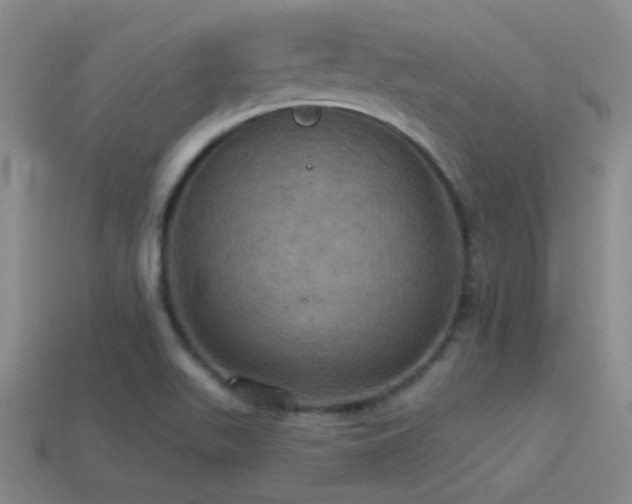 X0000114421511200910161217