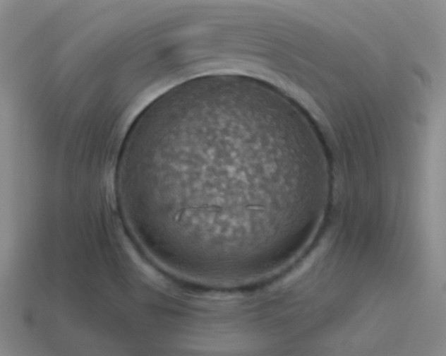 X0000114421513200910161217