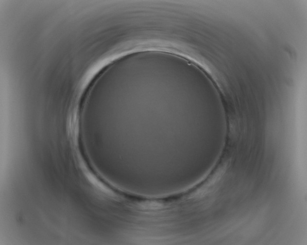X0000114421515200910161217