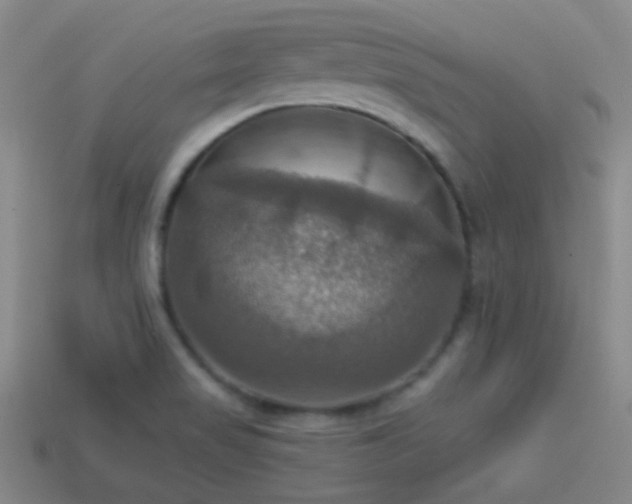 X0000114421517200910161217