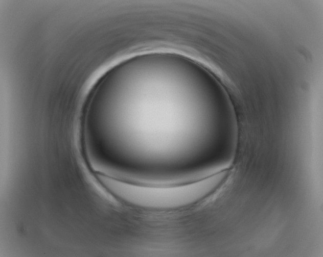 X0000114421518200910161217