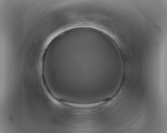 X0000114421519200910161217