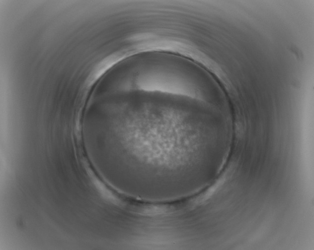 X0000114421521200910161217