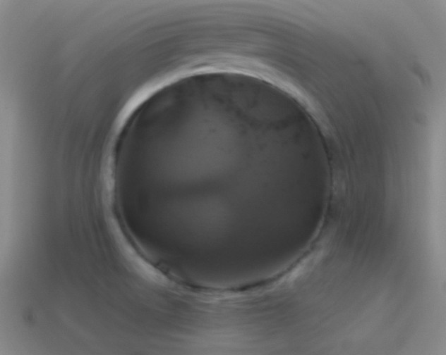 X0000114421522200910161217