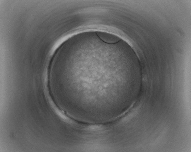X0000114421523200910161217