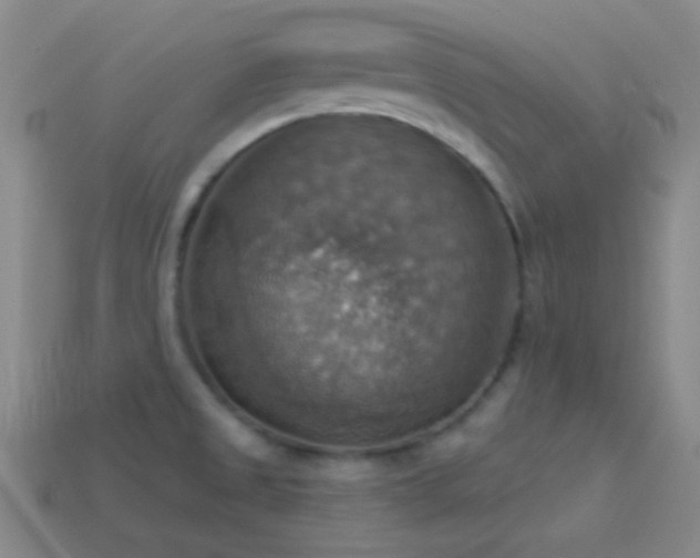 X0000114421525200910161217