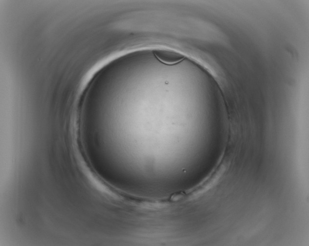 X0000114421526200910161217