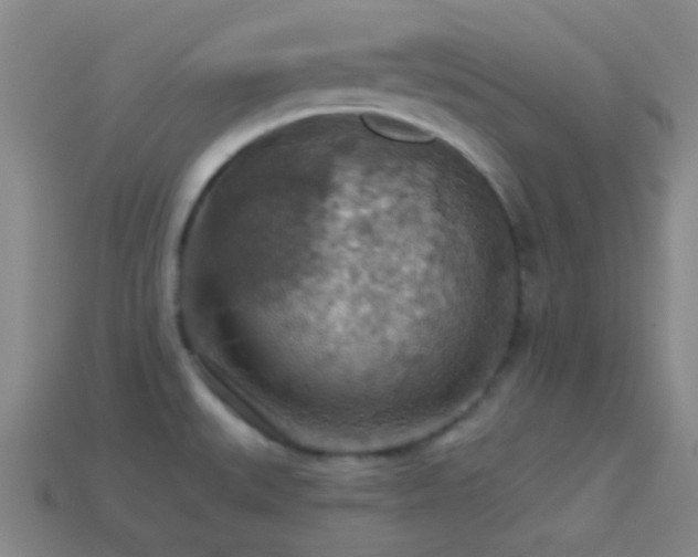 X0000114421527200910161217