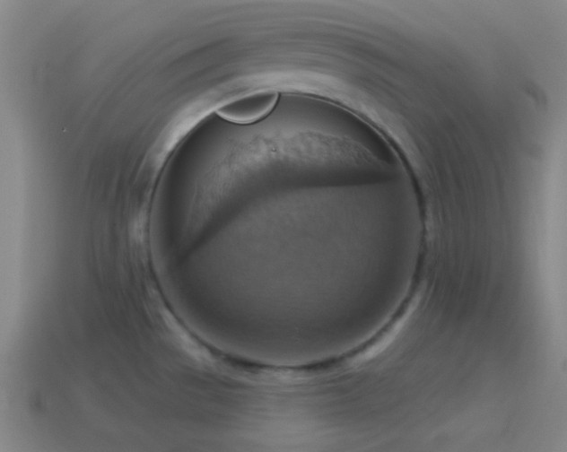 X0000114421529200910161217