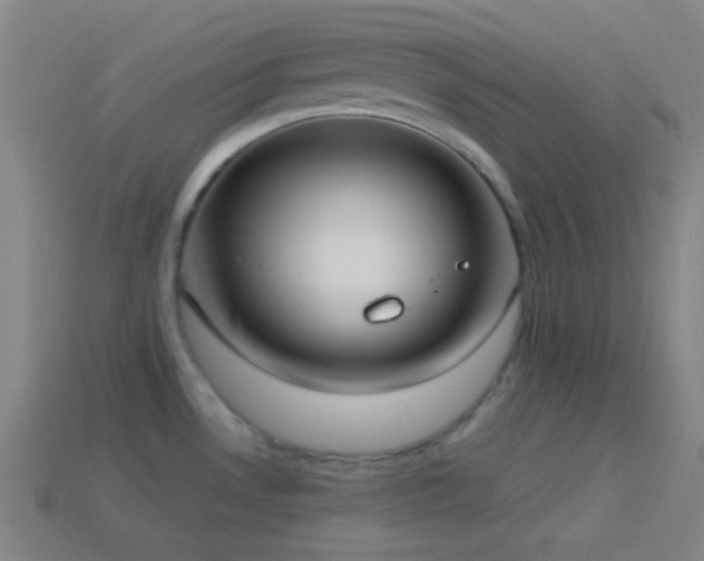 X0000114421530200910161217