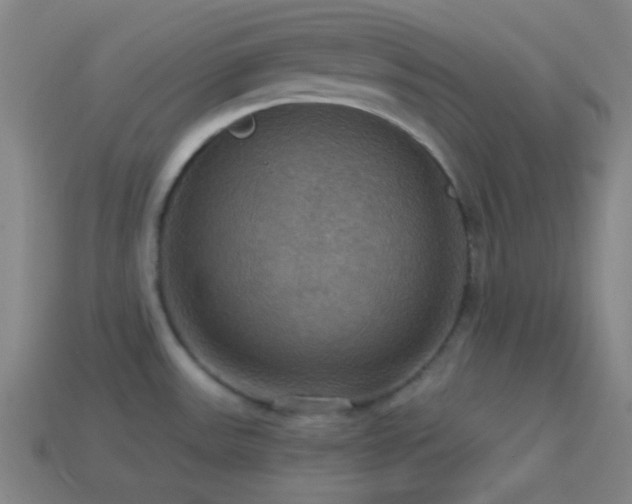 X0000114421531200910161217