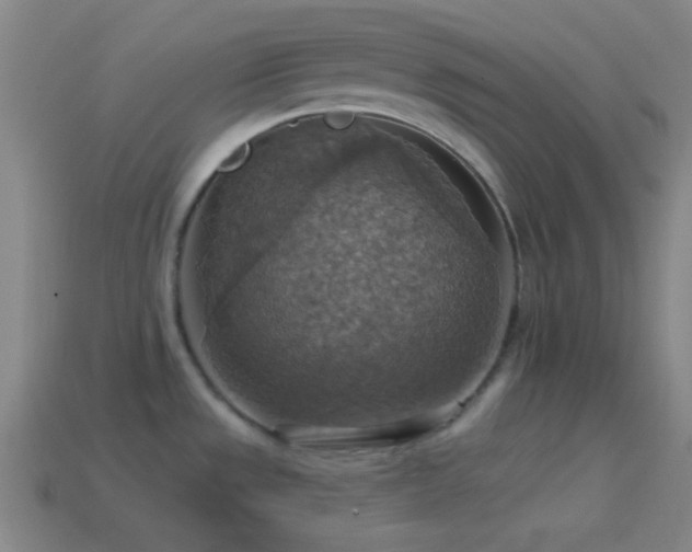 X0000114421533200910161217