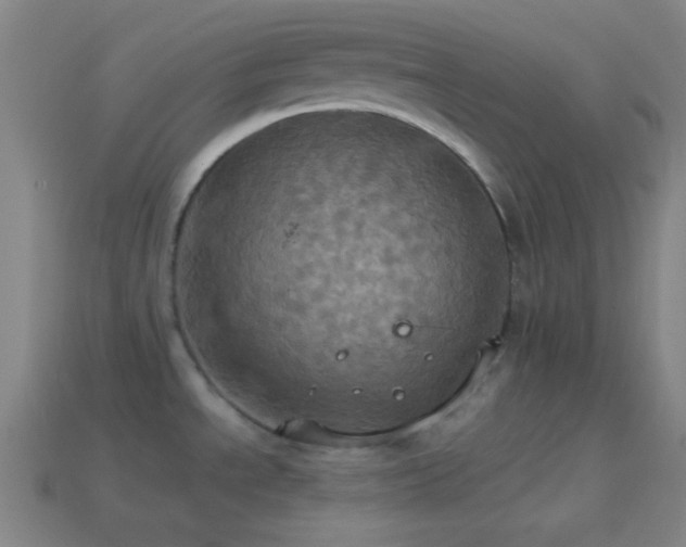 X0000114421534200910161217