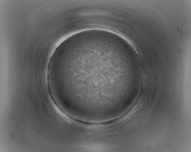 X0000114421535200910161217