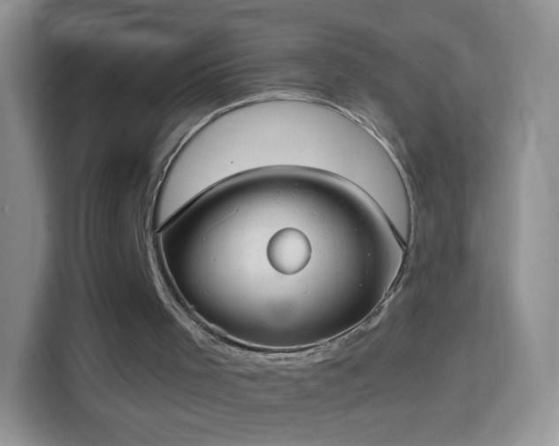 X0000114420001200910231215