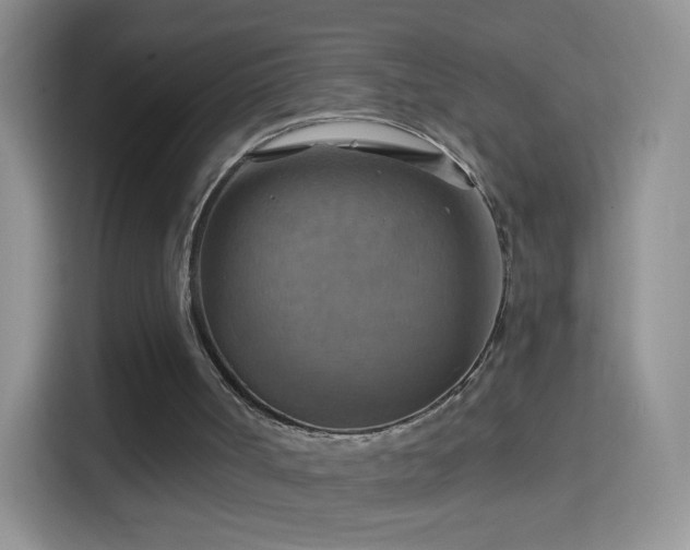 X0000114420002200910231215